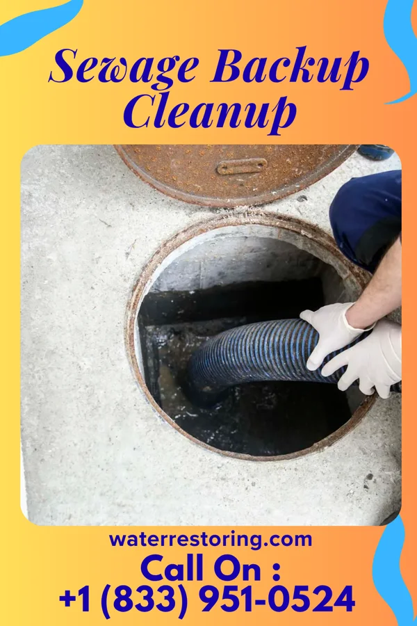 Sewage Backup Cleanup in Sebastian, FL